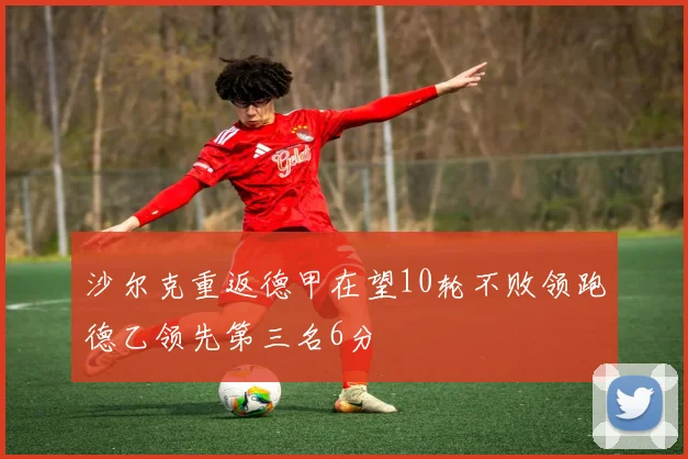 沙尔克重返德甲在望10轮不败领跑德乙领先第三名6分