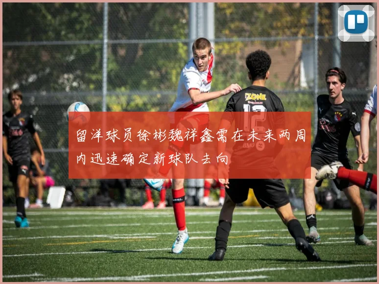 留洋球员徐彬魏祥鑫需在未来两周内迅速确定新球队去向