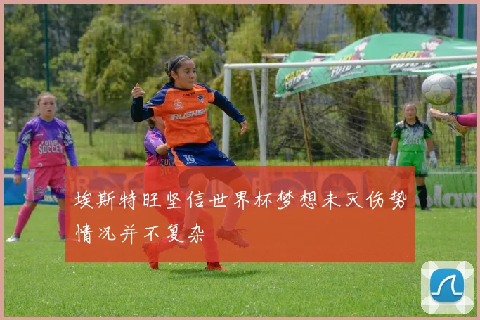 埃斯特旺坚信世界杯梦想未灭伤势情况并不复杂